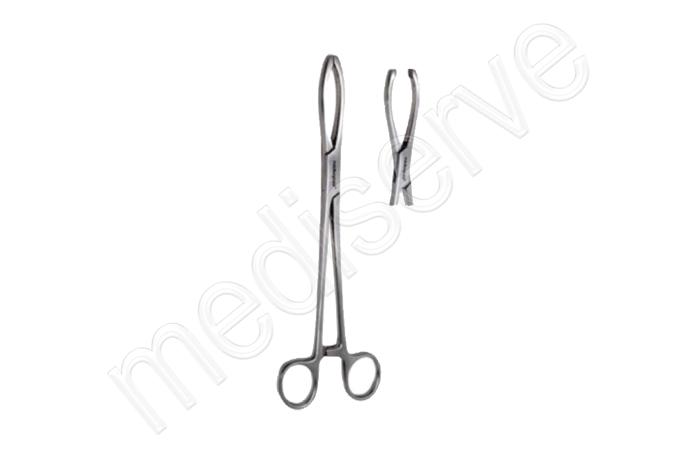 MS 753 - Littlewood Tissue Forceps